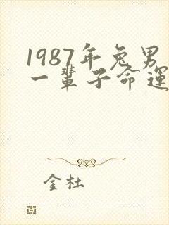 1987年兔男一辈子命运