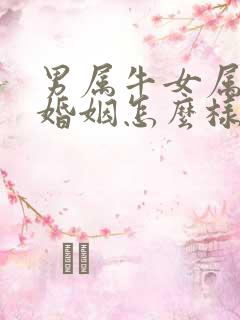 男属牛女属兔的婚姻怎么样