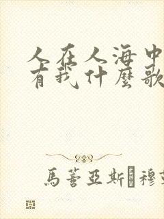 人在人海中有你有我什么歌歌词是什么意思