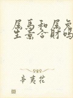 属马和属兔的做生意合财吗