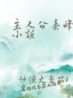 主人公秦峰官场小说