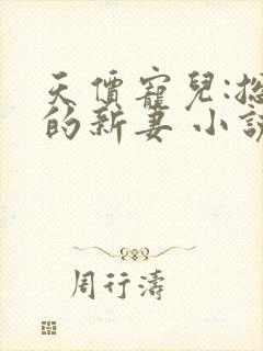 天价宠儿:总裁的新妻 小说