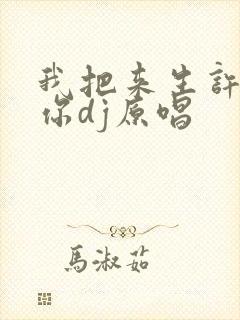 我把来生许给了你dj原唱