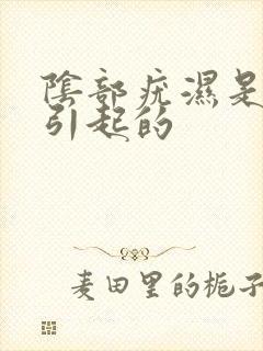 阴部疣湿是怎么引起的