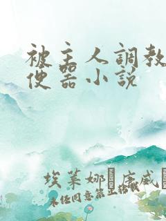 被主人调教当肉便器小说