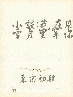 小说:我在风花雪月里等你