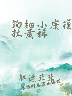 狗细小康复后还拉黄稀