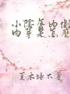 小阴唇内侧有小肉芽是怎么回事