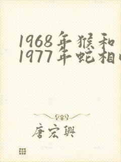 1968年猴和1977年蛇相配吗