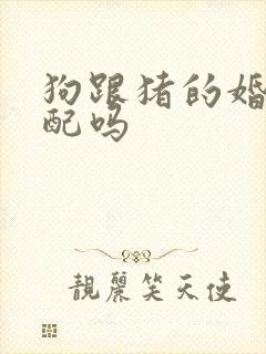 狗跟猪的婚姻相配吗