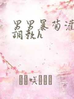 男男暴菊灌浣肠调教h