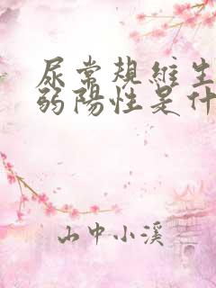 尿常规维生素c弱阳性是什么意思