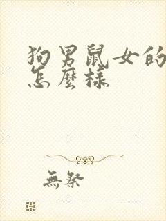 狗男鼠女的姻缘怎么样