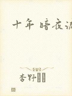 十年 暗夜流光