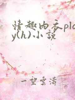 情趣内衣play(h)小说
