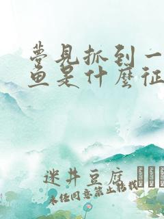 梦见抓到一条黑鱼是什么征兆