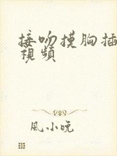 接吻摸胸插下面视频