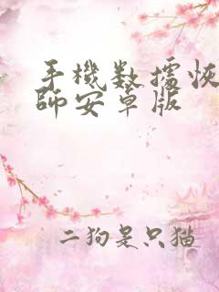 手机数据恢复大师安卓版