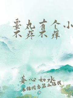 睾丸有个小疙瘩不疼不痒