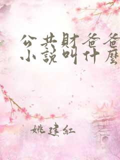 公共财爸爸原著小说叫什么名字