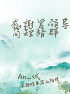 感谢男领导的话简短精辟