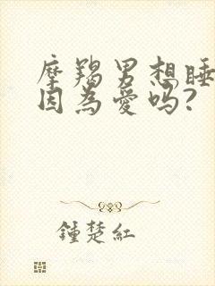 摩羯男想睡你是因为爱吗?