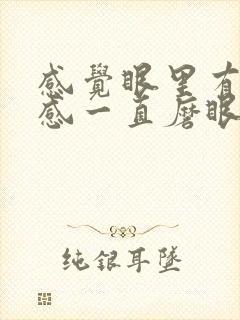 感觉眼里有异物感一直磨眼怎么办
