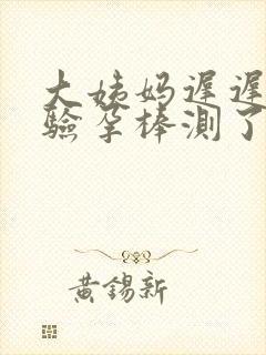 大姨妈迟迟不来验孕棒测了也没有怀孕