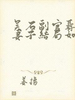 吴石副官聂曦的妻子结局如何