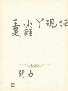 王小丫现任丈夫是谁