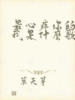 最心疼你的人是我是什么歌