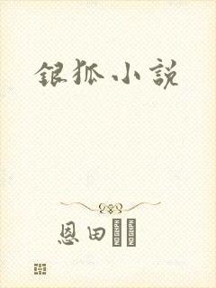 银狐小说