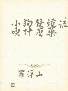 小狗发烧流鼻涕吃什么药