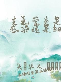 支气管炎是病毒感染还是细菌性感染