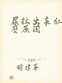 尿拉出来红色什么原因