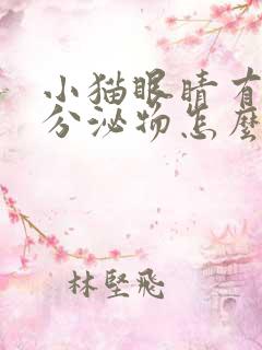 小猫眼睛有黄色分泌物怎么回事