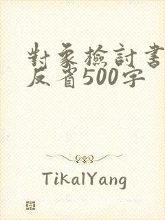 对象检讨书自我反省500字