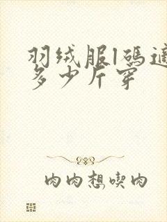 羽绒服l码适合多少斤穿