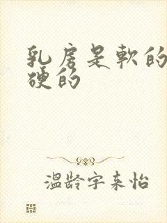 乳房是软的还是硬的