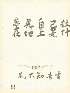 梦见自己拉大便在地上是什么预兆