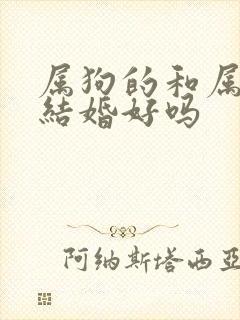 属狗的和属鸡的结婚好吗