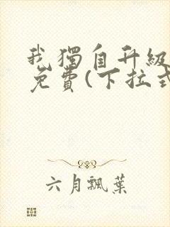 我独自升级漫画免费(下拉式)