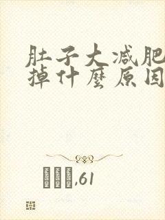 肚子大减肥减不掉什么原因