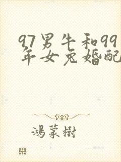 97男牛和99年女兔婚配好不好