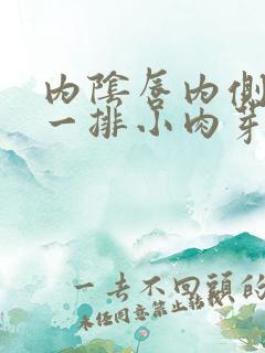 内阴唇内侧长了一排小肉芽