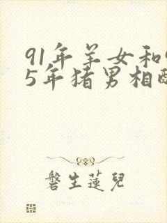 91年羊女和95年猪男相配婚姻如何