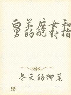 白羊座女和射手男的配对指数