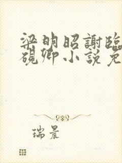 梁明昭谢临飞沈砚卿小说免费阅读