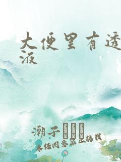 大便里有透明粘液