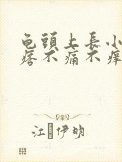 龟头上长小红疙瘩不痛不痒是怎么回事